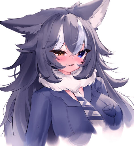gray wolf gray wolf